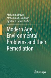 bokomslag Modern Age Environmental Problems and their Remediation