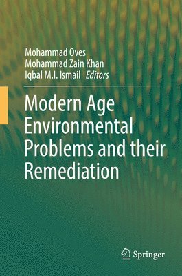 bokomslag Modern Age Environmental Problems and their Remediation