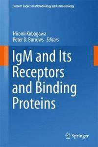 bokomslag IgM and Its Receptors and Binding Proteins