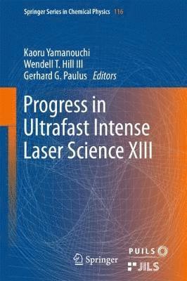 bokomslag Progress in Ultrafast Intense Laser Science XIII