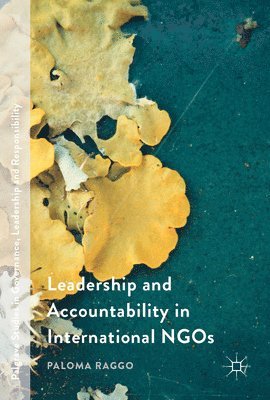 bokomslag Leadership and Accountability in International Ngos