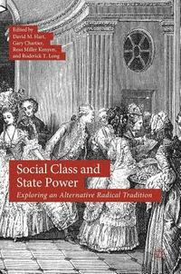 bokomslag Social Class and State Power
