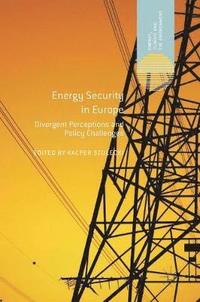 bokomslag Energy Security in Europe