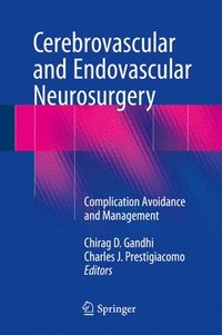 bokomslag Cerebrovascular and Endovascular Neurosurgery