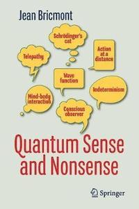 bokomslag Quantum Sense and Nonsense