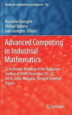 bokomslag Advanced Computing in Industrial Mathematics