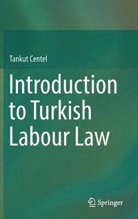 bokomslag Introduction to Turkish Labour Law