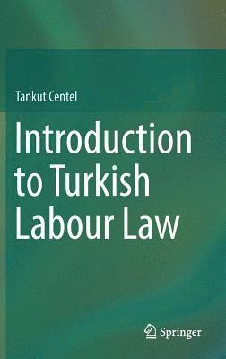 bokomslag Introduction to Turkish Labour Law