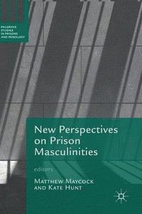 bokomslag New Perspectives on Prison Masculinities