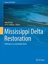 bokomslag Mississippi Delta Restoration