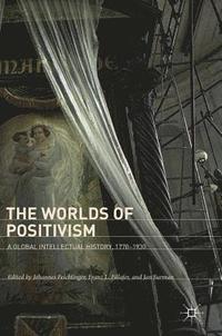 bokomslag The Worlds of Positivism