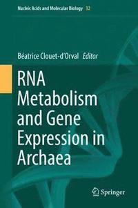 bokomslag RNA Metabolism and Gene Expression in Archaea