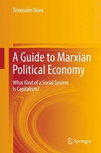bokomslag A Guide to Marxian Political Economy