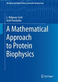 bokomslag A Mathematical Approach to Protein Biophysics