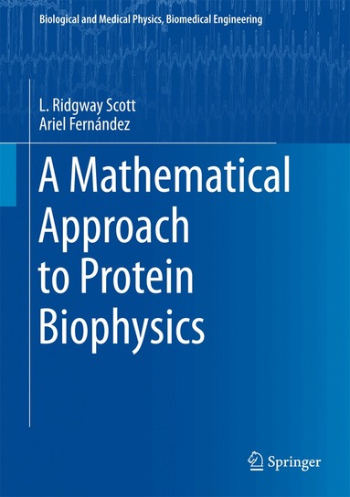L. Ridgway Scott, Ariel Fernández - Mathematical Approach to Protein Biophysics, Inbunden