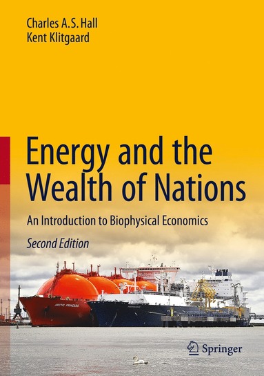 bokomslag Energy and the Wealth of Nations