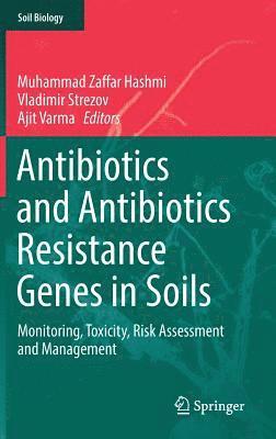 Muhammad Zaffar Hashmi, Vladimir Strezov, Ajit Varma - Antibiotics and Antibiotics Resistance Genes in Soils, Inbunden