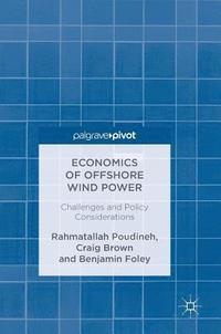 bokomslag Economics of Offshore Wind Power
