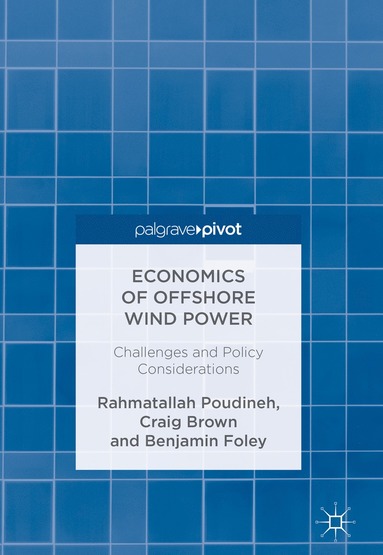 bokomslag Economics of Offshore Wind Power