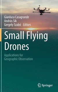 bokomslag Small Flying Drones