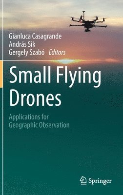 Small Flying Drones 1
