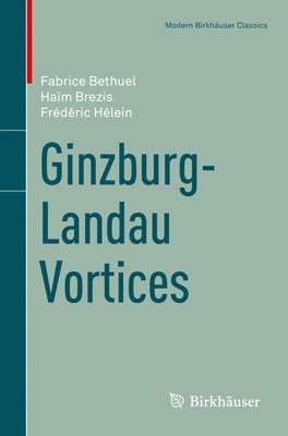 Ginzburg-Landau Vortices 1