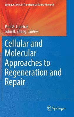 bokomslag Cellular and Molecular Approaches to Regeneration and Repair