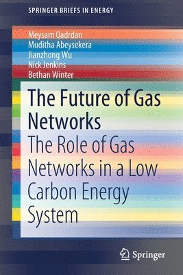 Meysam Qadrdan, Muditha Abeysekera, Jianzhong Wu, Nick Jenkins, Bethan Winter - Future of Gas Networks, Häftad