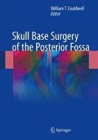 bokomslag Skull Base Surgery of the Posterior Fossa