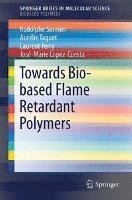 bokomslag Towards Bio-based Flame Retardant Polymers