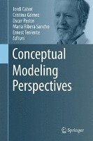 Jordi Cabot, Cristina Gómez, Oscar Pastor, Maria Ribera Sancho, Ernest Teniente - Conceptual Modeling Perspectives, Inbunden