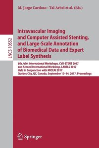 bokomslag Intravascular Imaging and Computer Assisted Stenting, and Large-Scale Annotation of Biomedical Data and Expert Label Synthesis