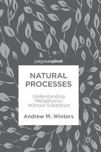bokomslag Natural Processes