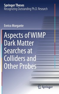 bokomslag Aspects of WIMP Dark Matter Searches at Colliders and Other Probes