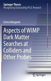 bokomslag Aspects of WIMP Dark Matter Searches at Colliders and Other Probes