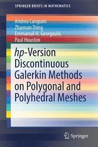 bokomslag hp-Version Discontinuous Galerkin Methods on Polygonal and Polyhedral Meshes