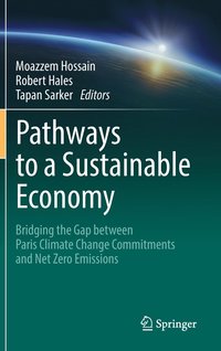 bokomslag Pathways to a Sustainable Economy