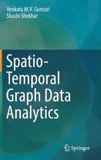 bokomslag Spatio-Temporal Graph Data Analytics