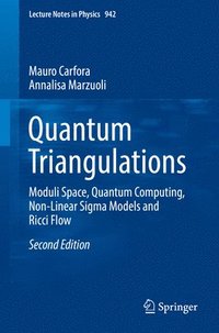 bokomslag Quantum Triangulations