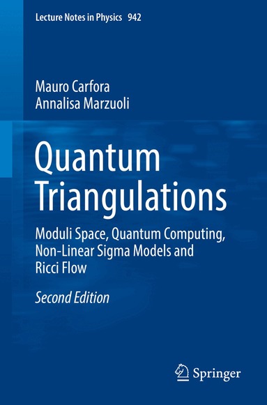 Mauro Carfora, Annalisa Marzuoli - Quantum Triangulations, Häftad