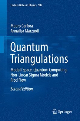 bokomslag Quantum Triangulations