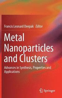 bokomslag Metal Nanoparticles and Clusters