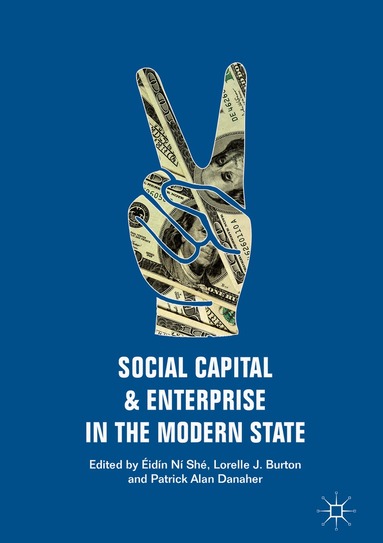 Éidín Ní Shé, Lorelle J. Burton, Patrick Alan Danaher - Social Capital and Enterprise in the Modern State, Inbunden