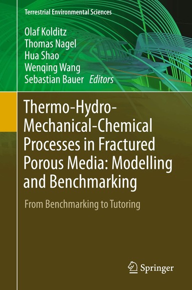 Olaf Kolditz, Thomas Nagel, Hua Shao, Wenqing Wang, Sebastian Bauer - Thermo-Hydro-Mechanical-Chemical Processes in Fractured Porous Media: Modelling and Benchmarking, Inbunden