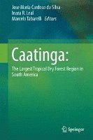 bokomslag Caatinga