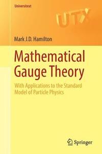 bokomslag Mathematical Gauge Theory