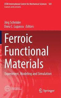 bokomslag Ferroic Functional Materials