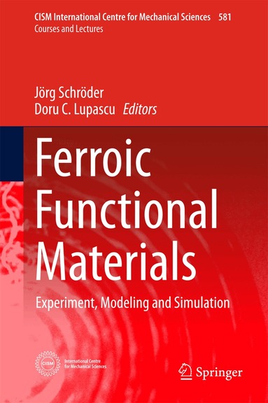 Jörg Schröder, Doru C. Lupascu - Ferroic Functional Materials, Inbunden