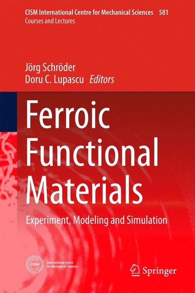 bokomslag Ferroic Functional Materials