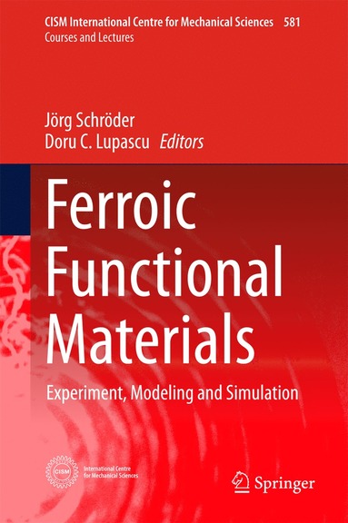 bokomslag Ferroic Functional Materials